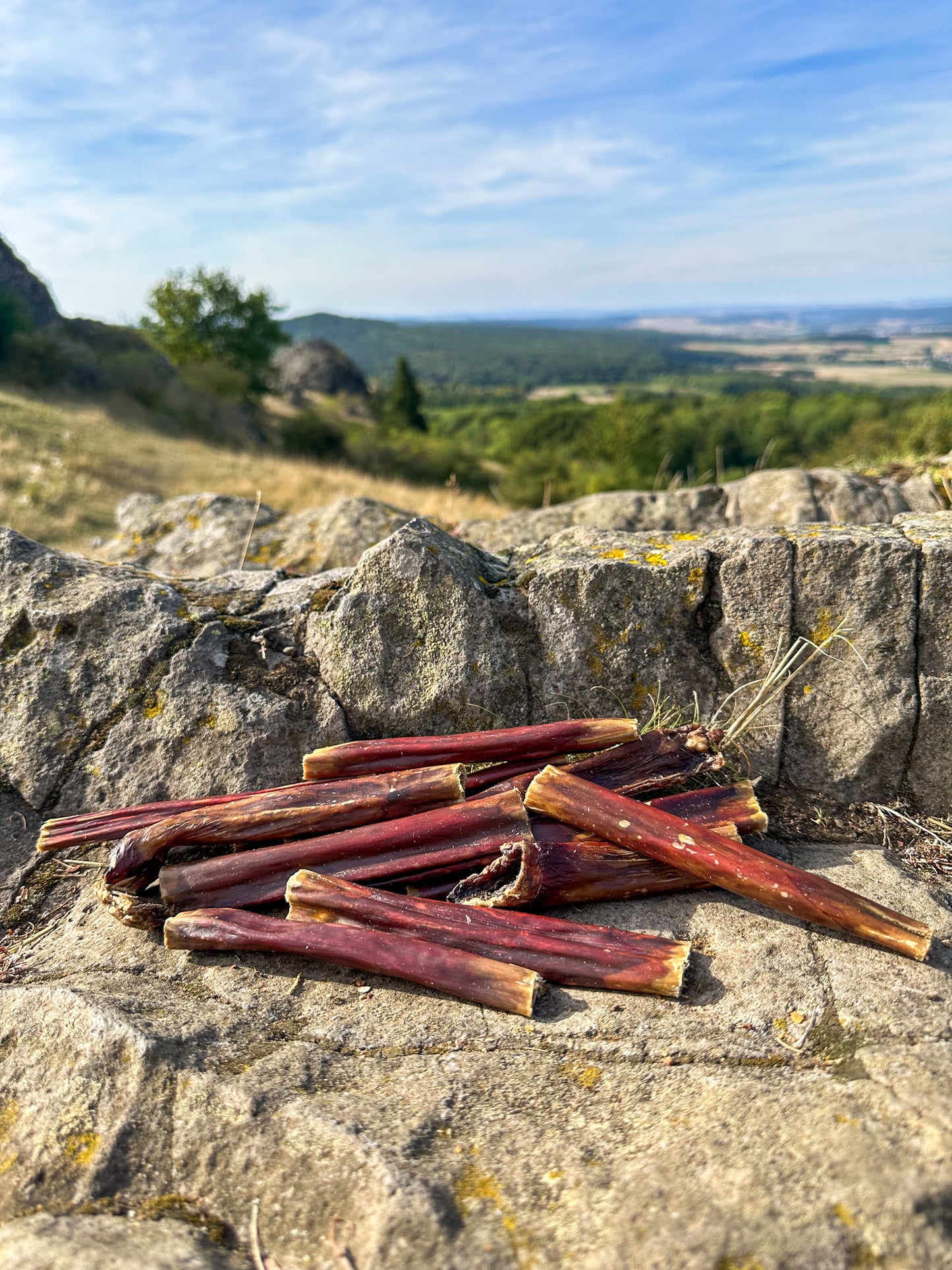 Rindersticks