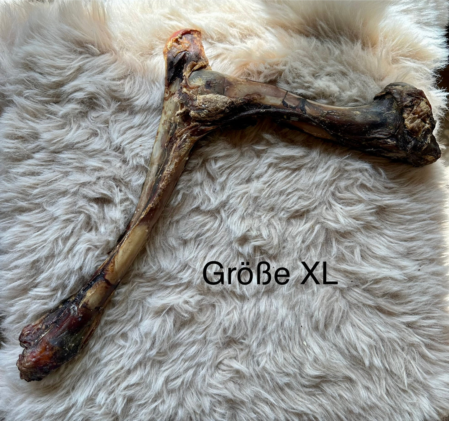 Hirschknochen - verschiedene Größen
