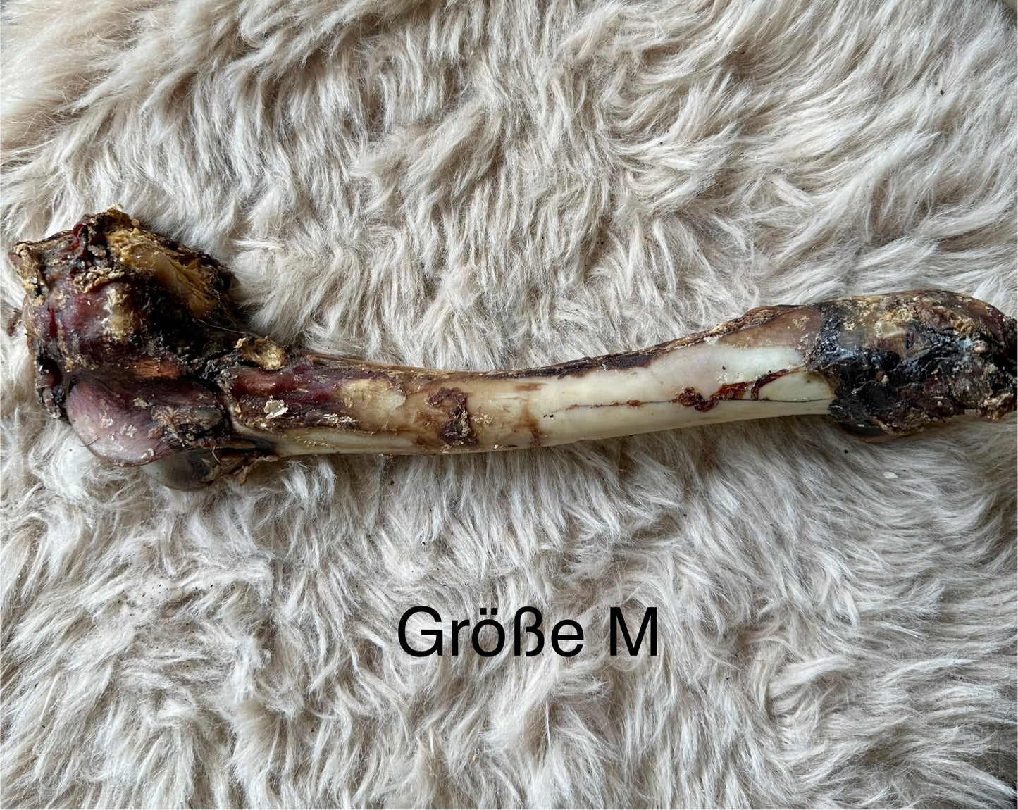 Hirschknochen - verschiedene Größen