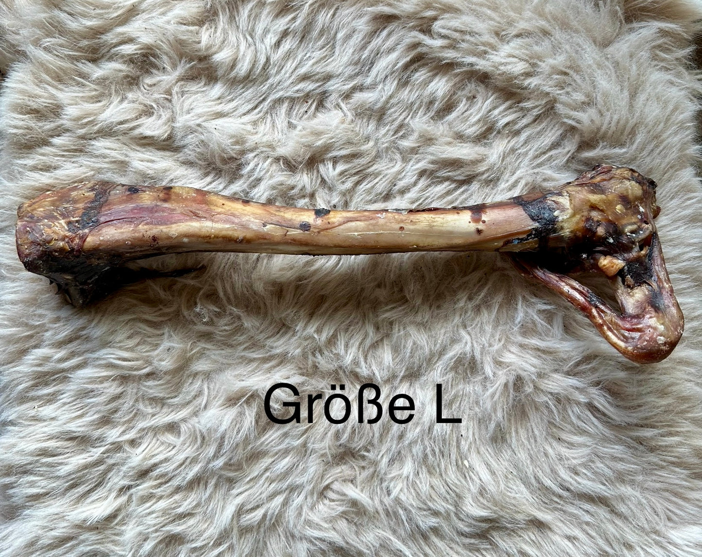 Hirschknochen - verschiedene Größen