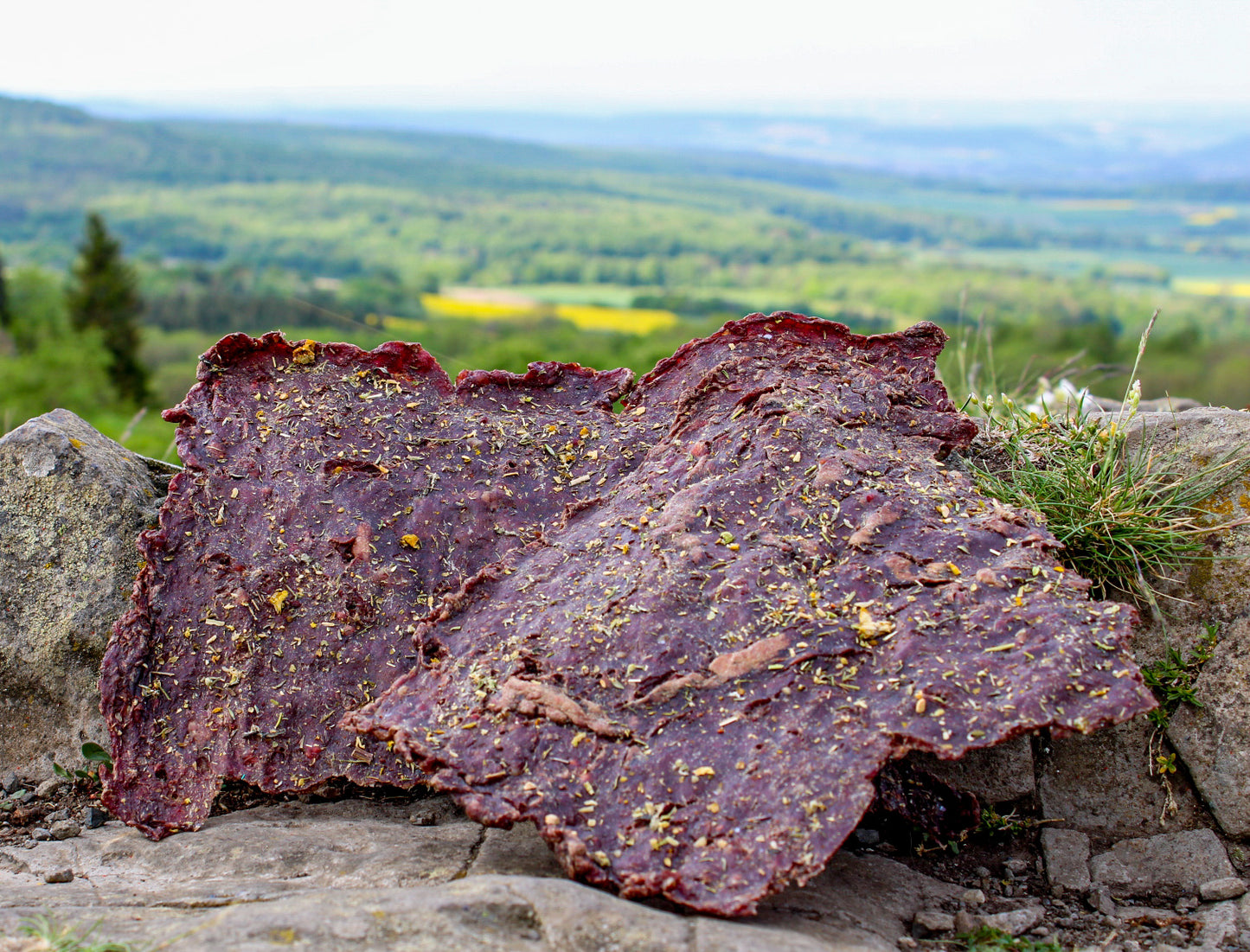 Roastbeef-Riegel mit Anti-Wurmkräuter