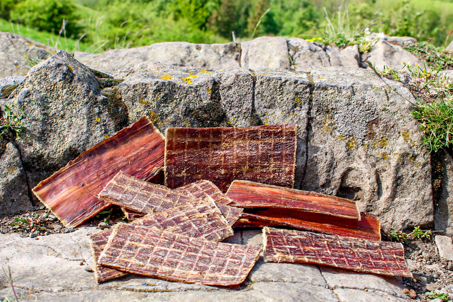 Dörrfleisch