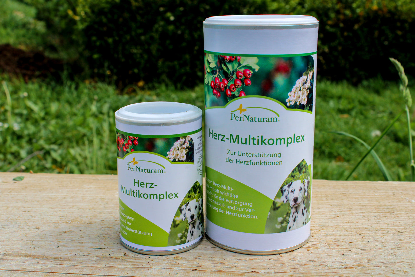Herz-Multikomplex