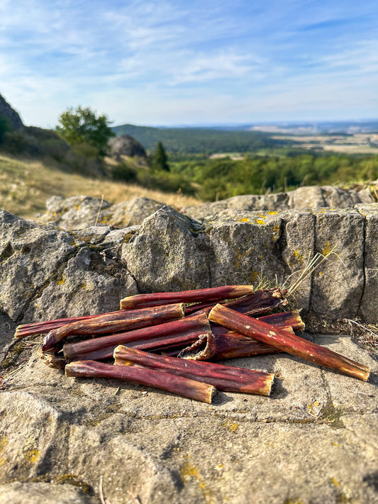 Rindersticks