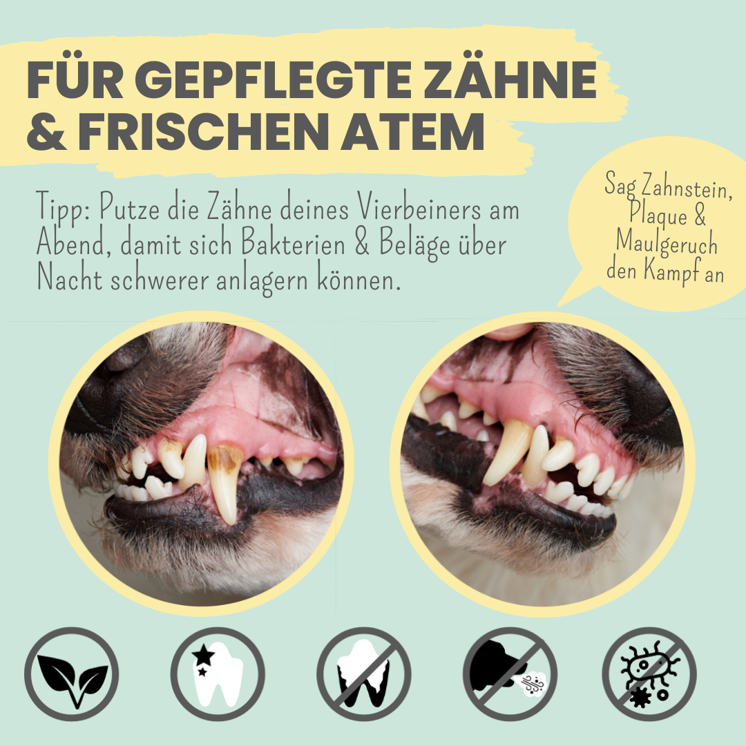 Zahnpasta Enzymodent 100% natürlich
