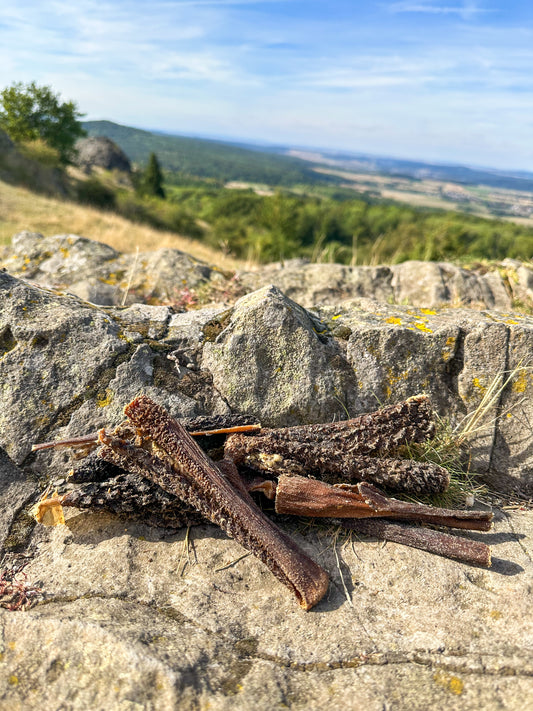 Rinderpansen getrocknet