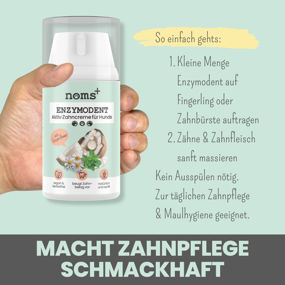 Zahnpasta Enzymodent 100% natürlich