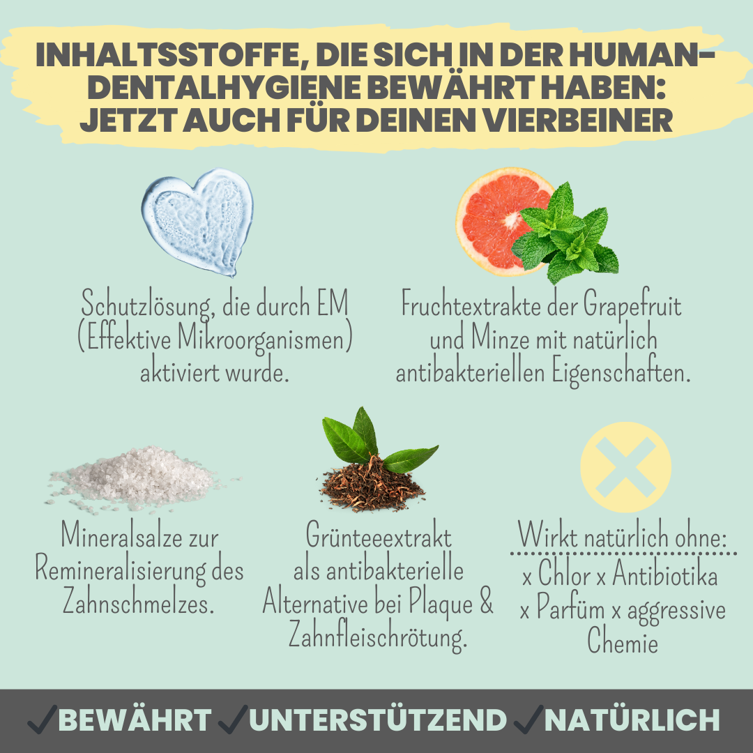 Dentalspray bei Zahnstein [Jahresvorrat]