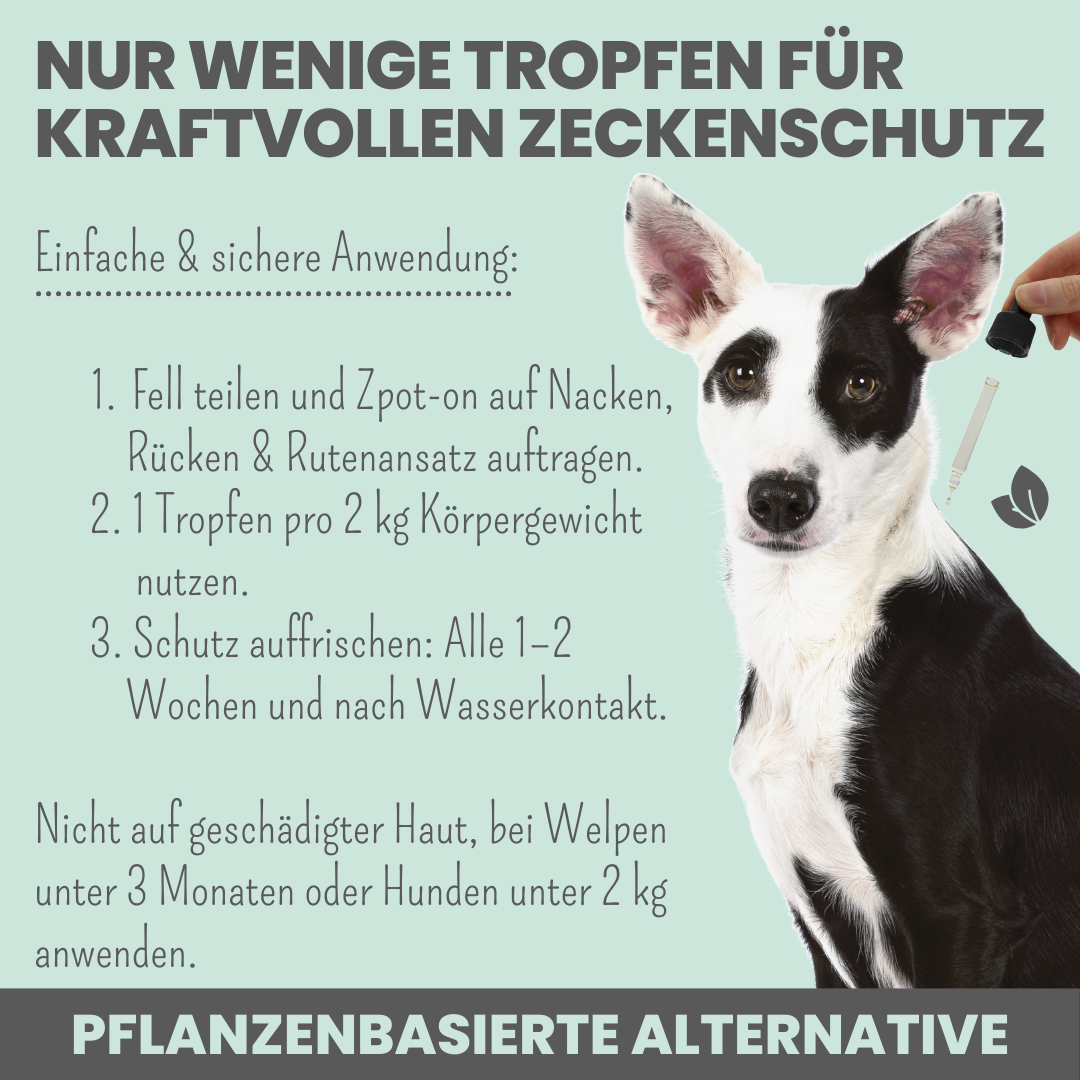 Zpot-on für Hunde gegen Zecken, Flöhe, Milben [Jahresvorrat]