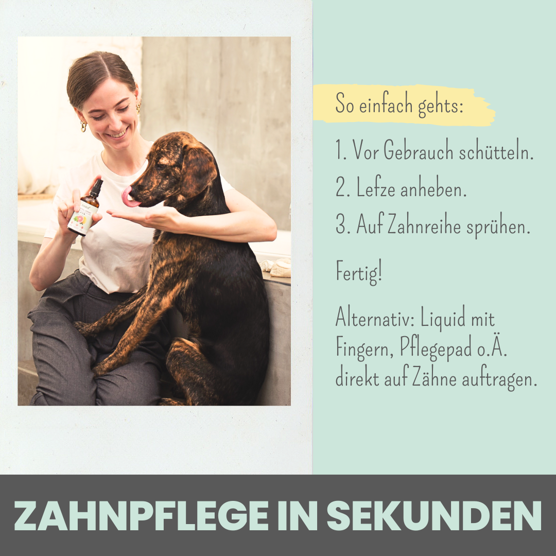 Dentalspray bei Zahnstein [Jahresvorrat]