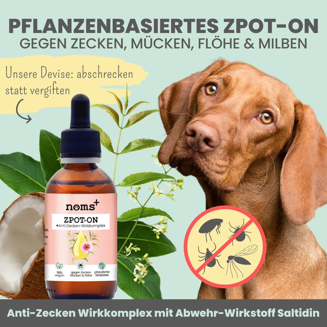 Zpot-on für Hunde gegen Zecken, Flöhe, Milben [Jahresvorrat]