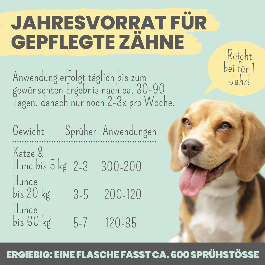 Dentalspray bei Zahnstein [Jahresvorrat]